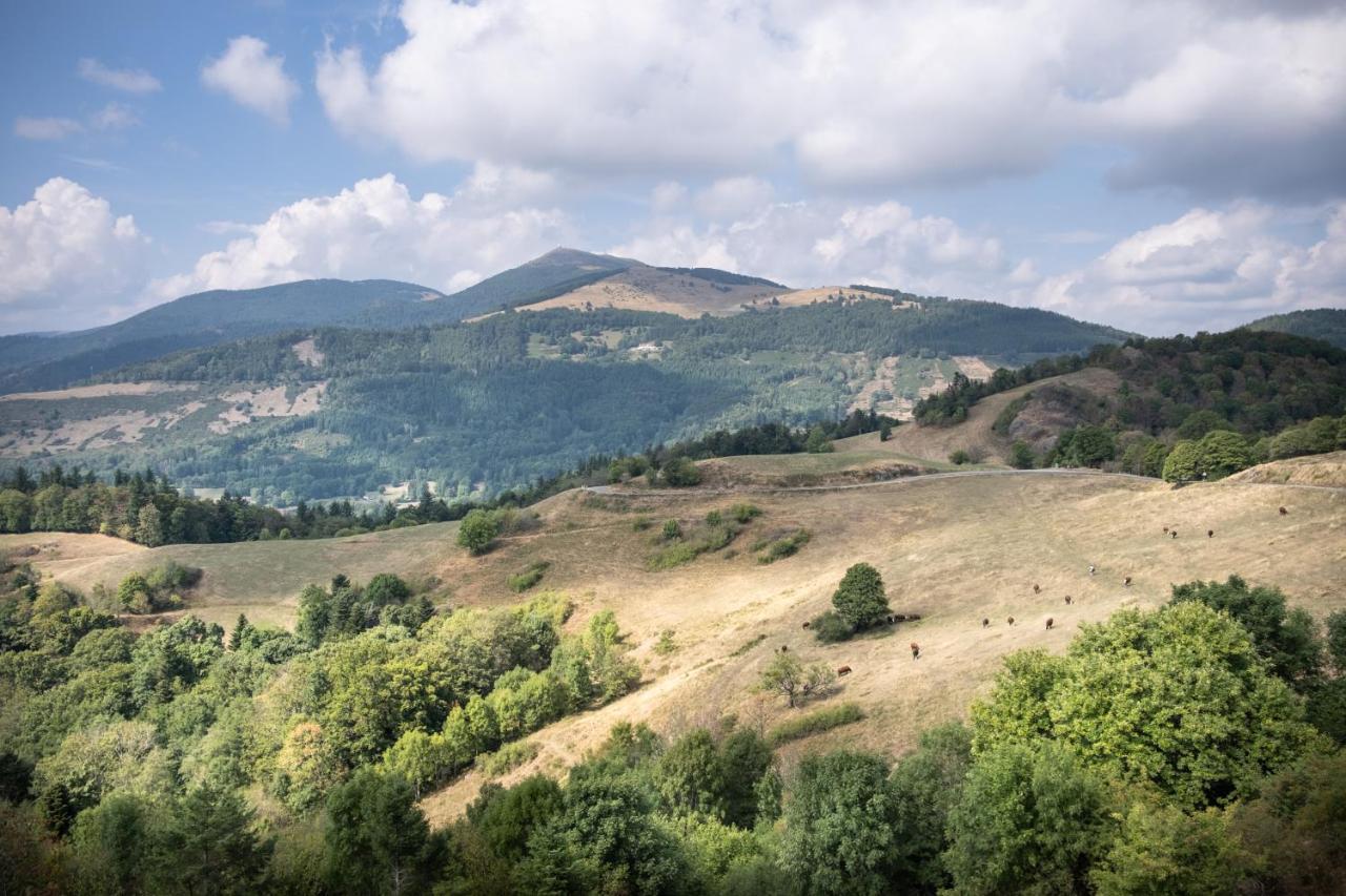 Huttopia Foret Des Vosges Barbey-Seroux المظهر الخارجي الصورة